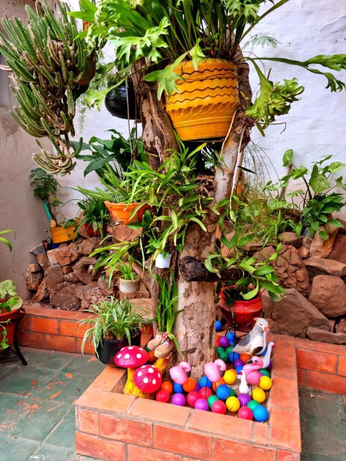 Hostal Jardin De Luque San Lorenzo Buitenkant foto